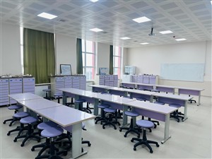 Genel Jeoloji Laboratuvarı