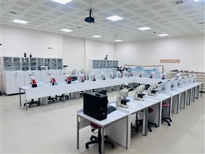 Mineraloji-Petrografi Laboratuvarı