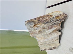 Mineraloji-Petrografi Laboratuvarı